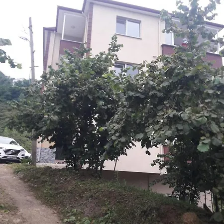 Apartment Memis Trabzon